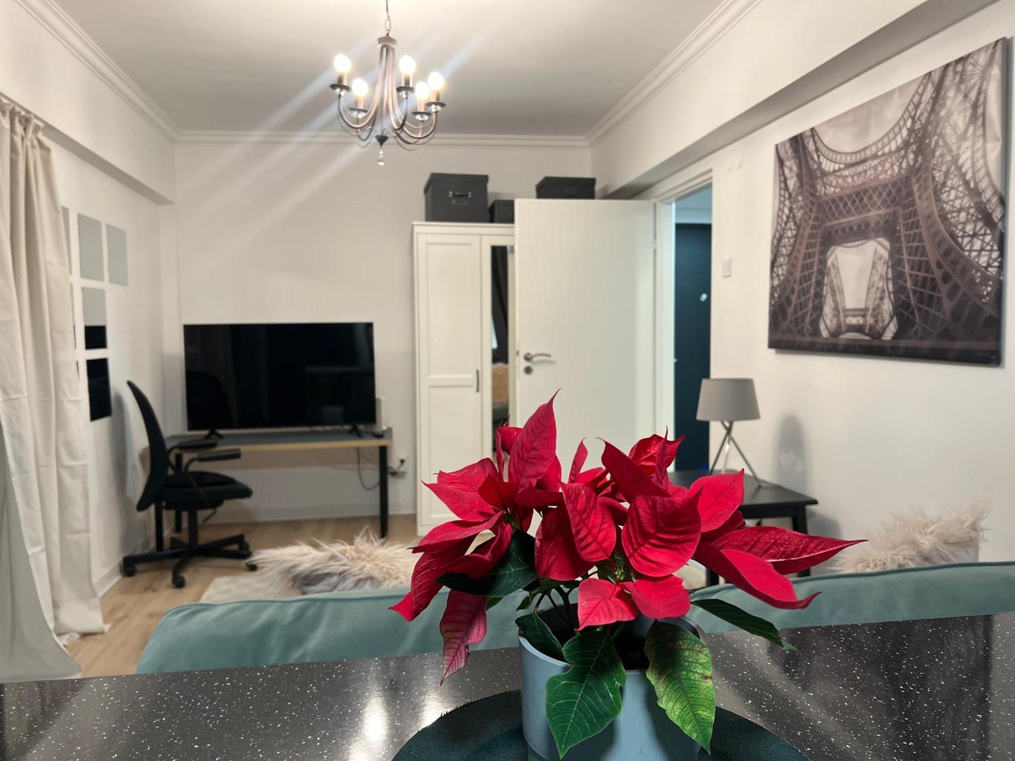Cosy Floreasca Apartament