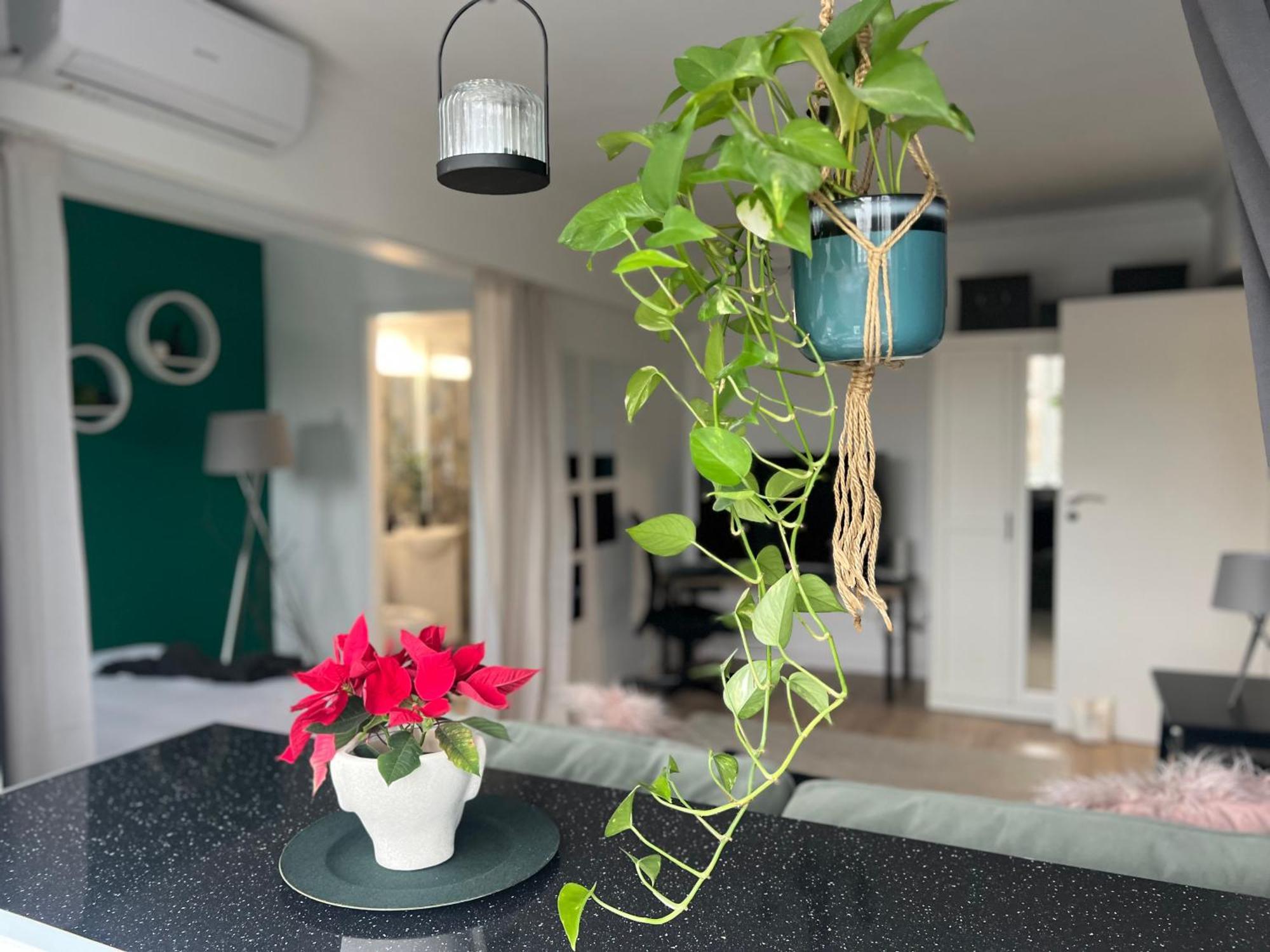 Cosy Floreasca Apartament Bucureşti