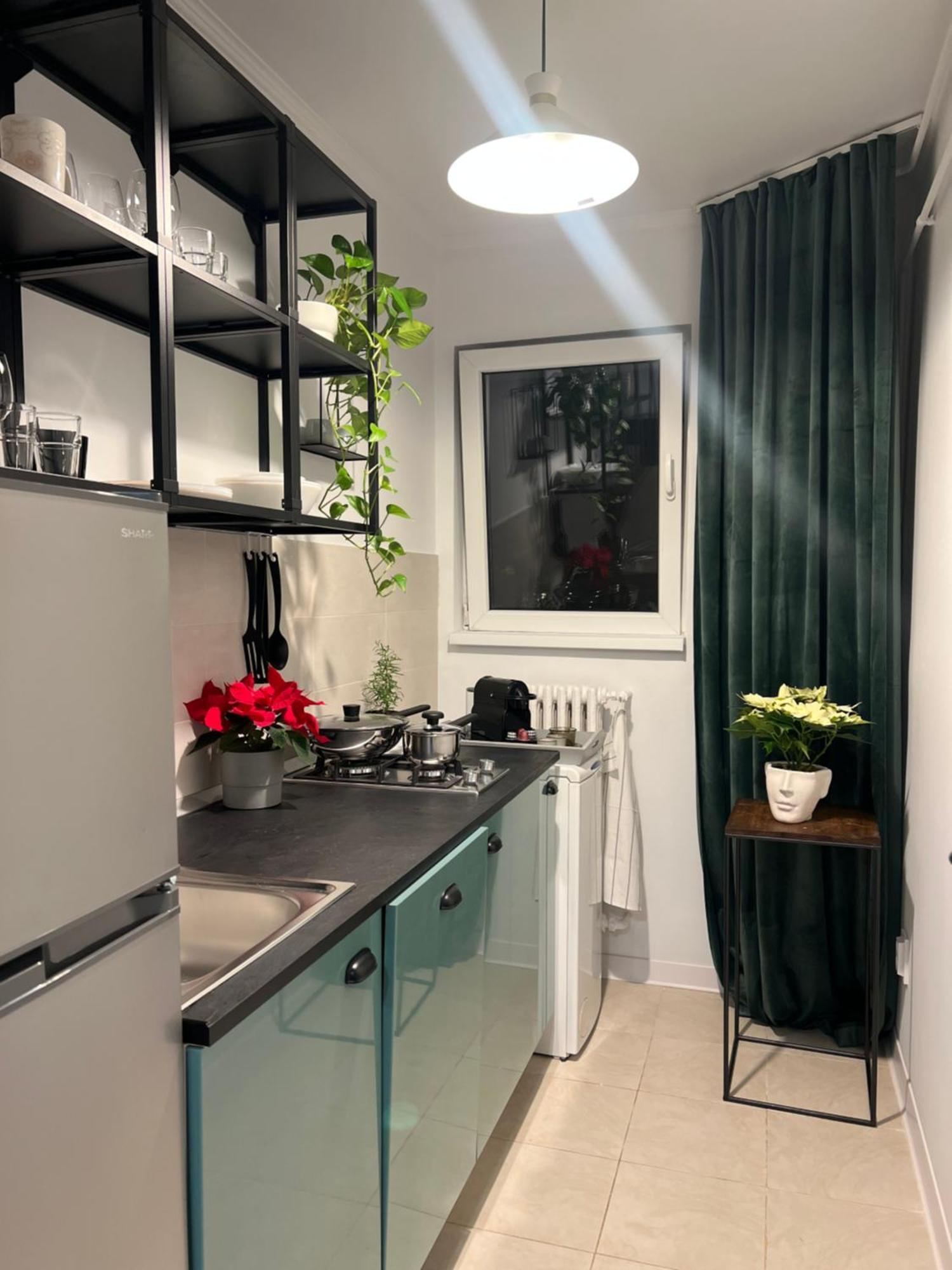 Cosy Floreasca Bucureşti